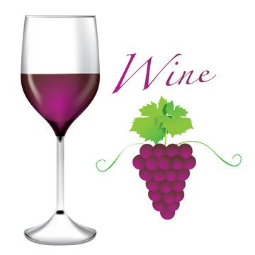 Glass of wine - Bunches of grapes vector