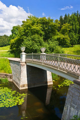 Fototapeta na wymiar Obsada żelaznego mostu w Pavlovsk parku niedaleko St-Petersburg, Rosja