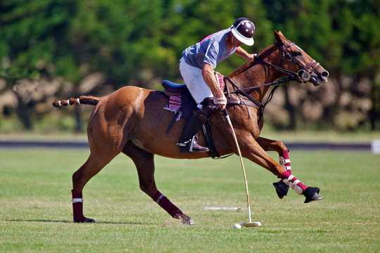 joueur de polo &agrave; cheval