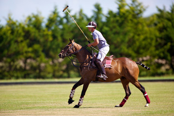 joueur de polo &agrave; cheval