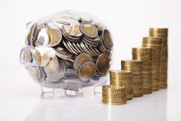 Pig bank and money