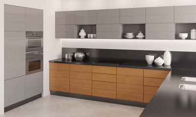 Modern kitchen interior.