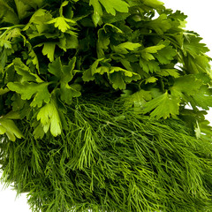 fresh dill and parsley close up