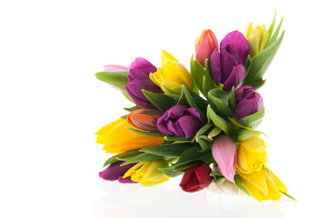 Colorful bouquet tulips