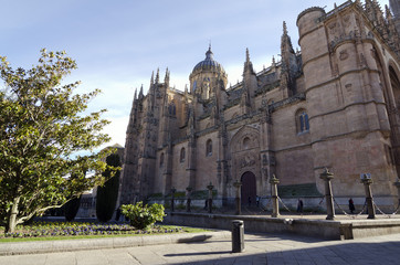 Fototapeta na wymiar Catedral Nueva. Salamanca