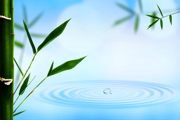 Abstract oriental backgrounds with bamboo and water ripple
