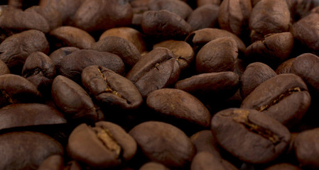 Raw Coffee beans background with focus on one grain