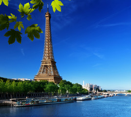 Fototapeta na wymiar Wieża Eiffla, Paryż. Francja