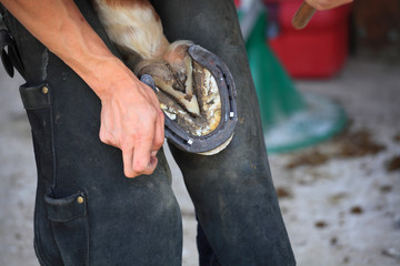 laying a horseshoe