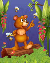 A bear and bees in the forest
