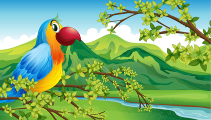 A parrot on a branch of a tree © GraphicsRF