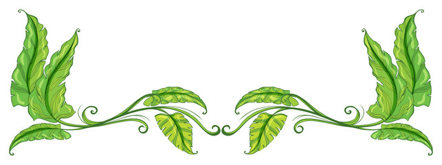 A green leafy border