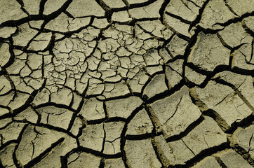 dry land