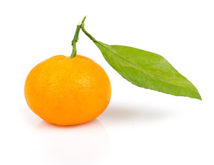 one tangerine with leaf isolated on white