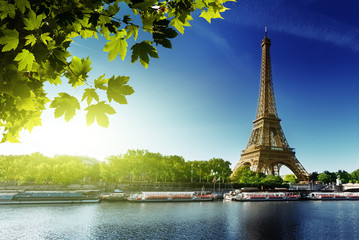 Seine in Paris with Eiffel tower - obrazy, fototapety, plakaty