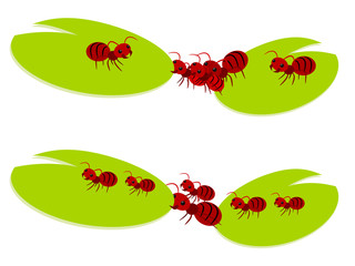 Red ants teamwork illustration