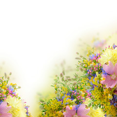 Fototapeta na wymiar Summer flowers