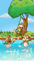 Trois singes jouant