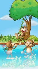 Rolgordijnen Drie apen aan het spelen © GraphicsRF