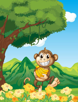 A monkey holding a banana in the forest
