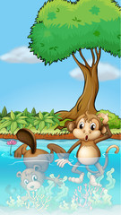 Un singe et un castor dans l& 39 étang