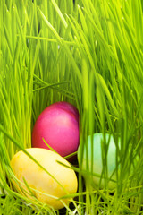 Three Easter eggs in grass