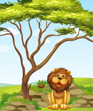 A lion sitting under a big tree