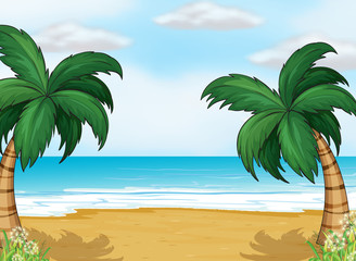 Fototapeta na wymiar Coconut drzew morza
