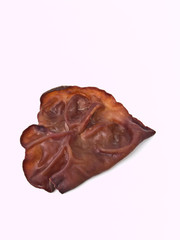 Auricularia auricula isolated on whith background
