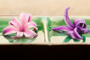 spa concept with scented hyacinth flowers