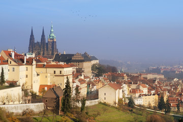 cityscape of Hradcany with St. Vitus Cathedral, old Prague