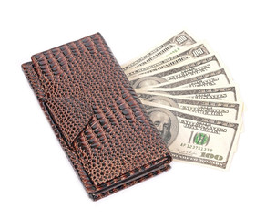 brown leather wallet with dollar isolated