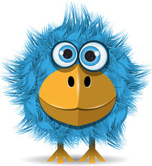 funny blue bird