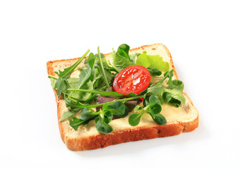 Slice of bread with fresh salad greens