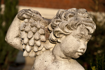 Engel