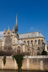 Fototapeta na wymiar Katedra Notre Dame w Paryżu, Ile de France, Francja