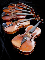 Fototapeta premium different sized violins on black velvet