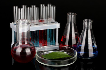 Test-tubes and green leaf tested in petri dish, isolated