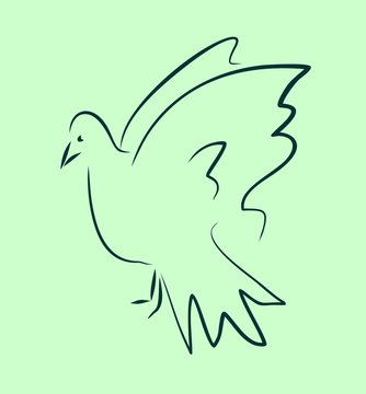 dove - simple sketch