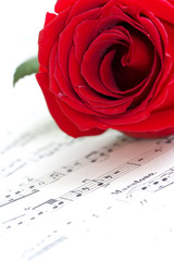 Red rose on musical score