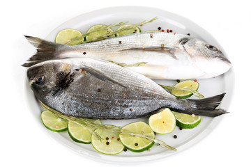 Two fish dorado with lemon on plate isolated on white