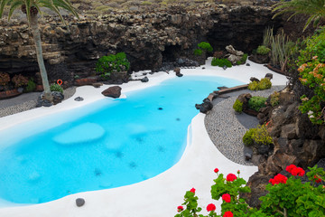 Tropical pool decoration