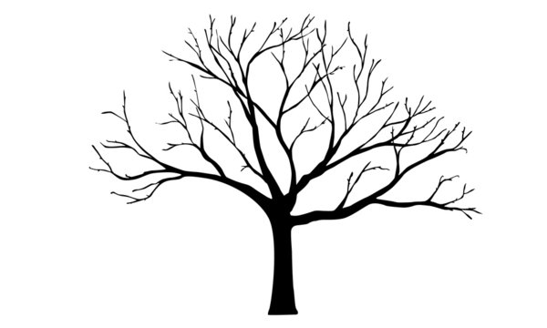 Fir tree drawing' Sticker | Spreadshirt
