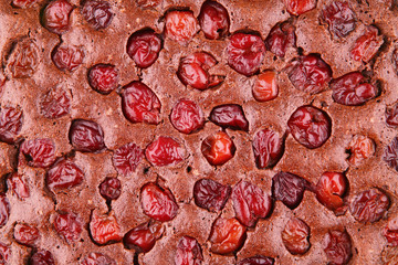 close up of chocolate cherry tart