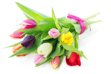 Bouquet of mixed tulips