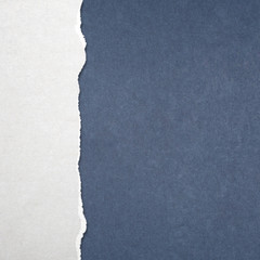 torn paper