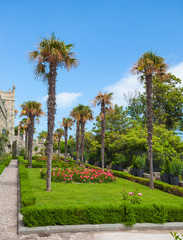 Fototapeta premium garden with palm trees and flowers.