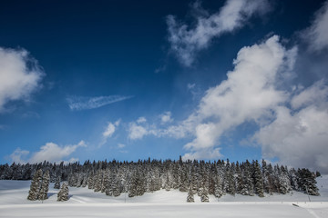 Swiss Winter Landscape