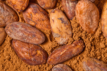 cacao baclground