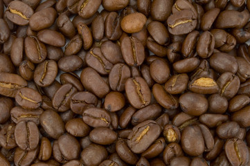 Kaffeebohnen